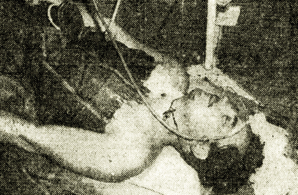 1953
