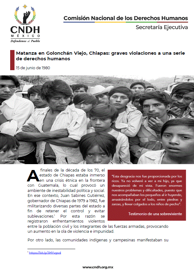 Matanza en Golonchán Viejo, Chiapas: graves violaciones a una serie de derechos humanos