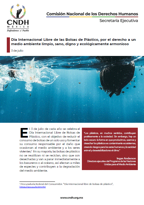 Día Internacional Libre de las Bolsas de Plástico, por el derecho a un medio ambiente limpio, sano, digno y ecológicamente armonioso