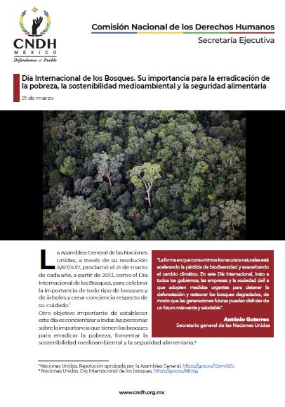 Día Internacional de los Bosques. Su importancia para la erradicación de la pobreza, la sostenibilidad medioambiental y la seguridad alimentaria