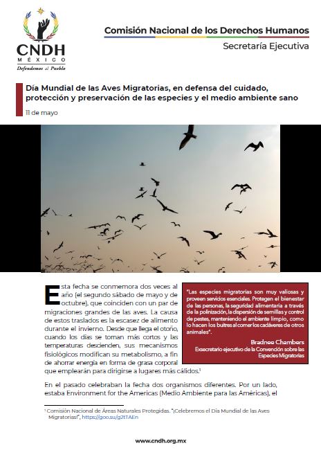 Día Mundial de las Aves Migratorias, en defensa del cuidado, protección y preservación de las especies y el medio ambiente sano