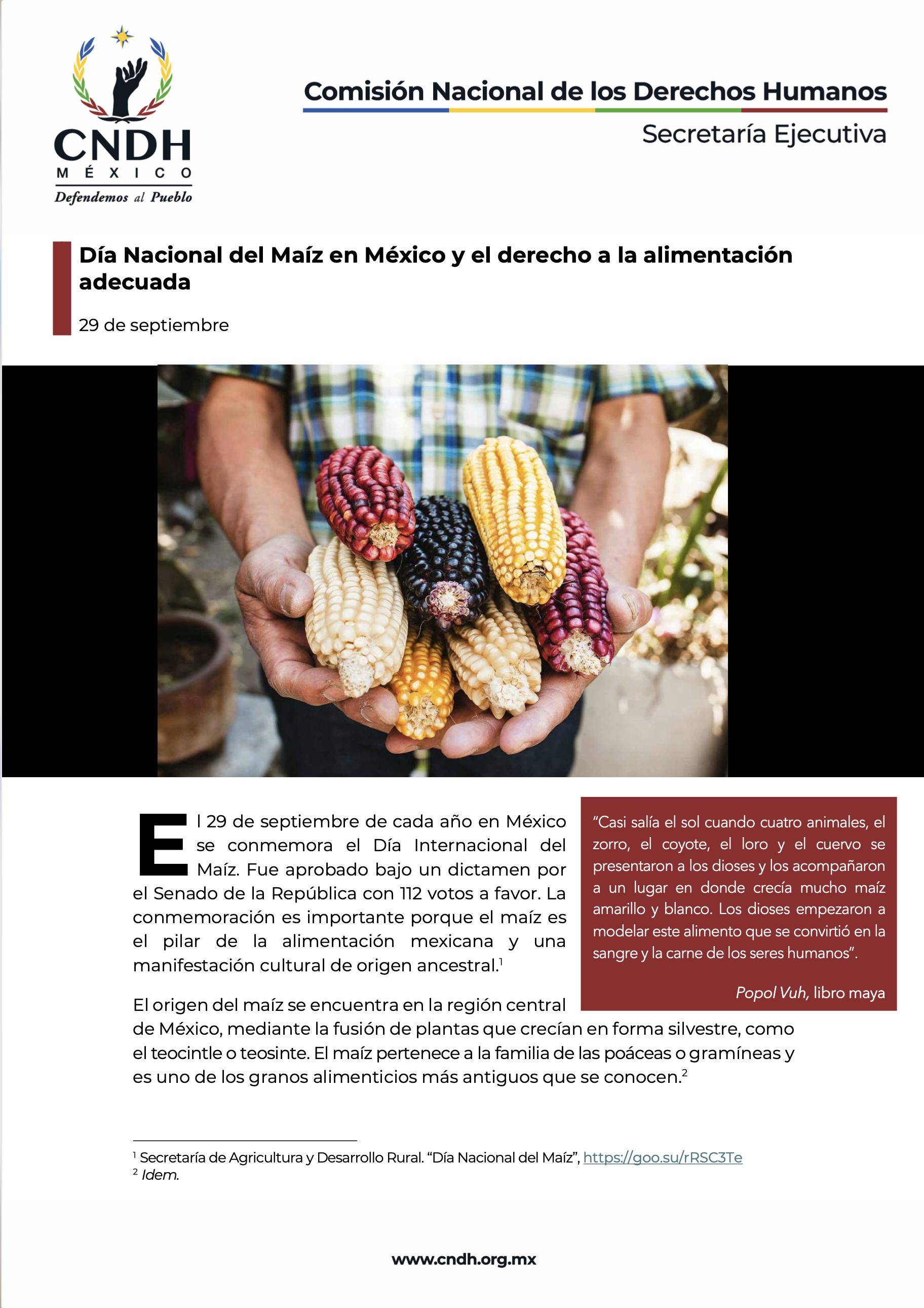 Día Nacional del Maíz en México y el derecho a la alimentación adecuada