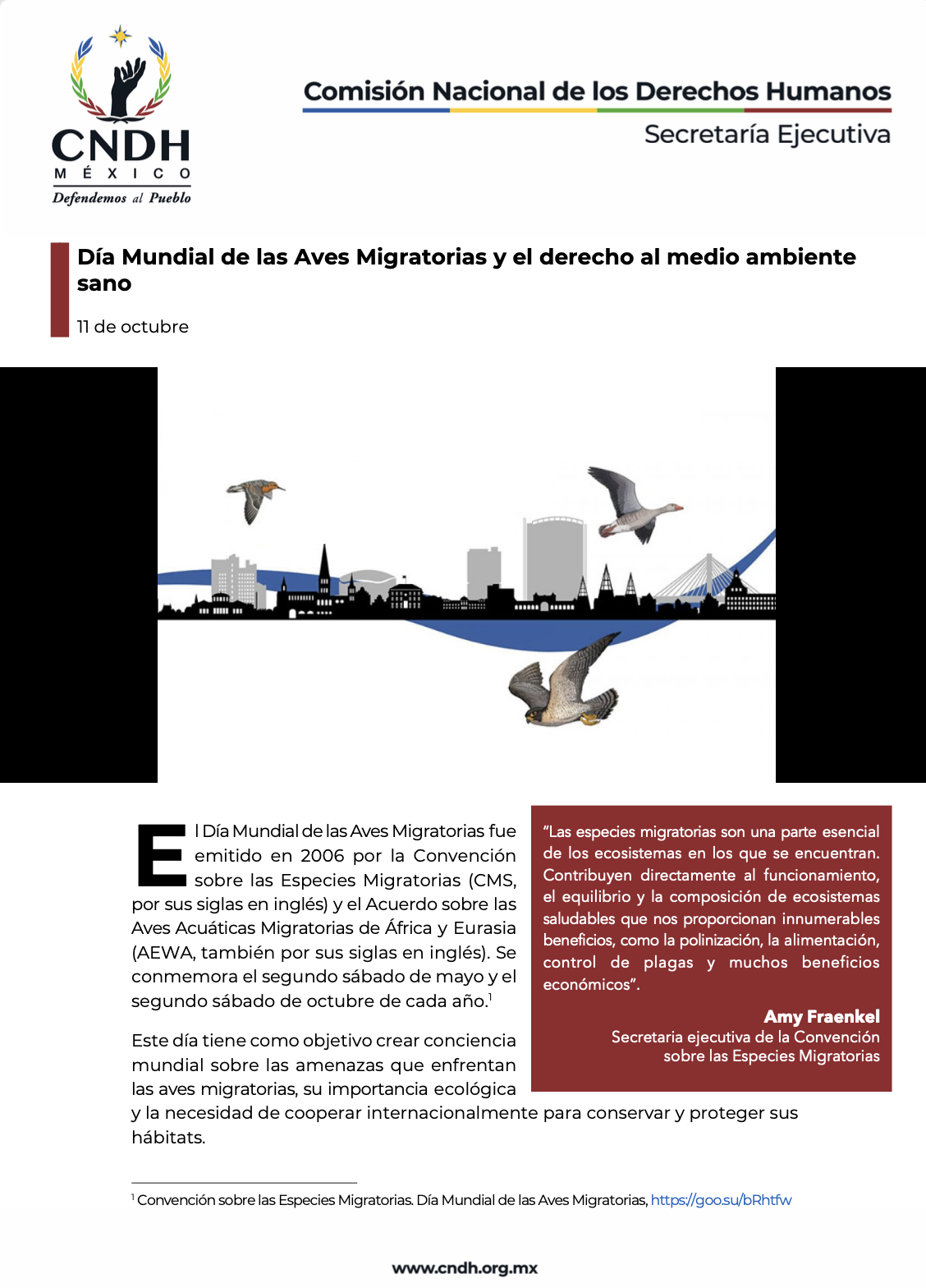 Día Mundial de las Aves Migratorias y el derecho al medio ambiente sano