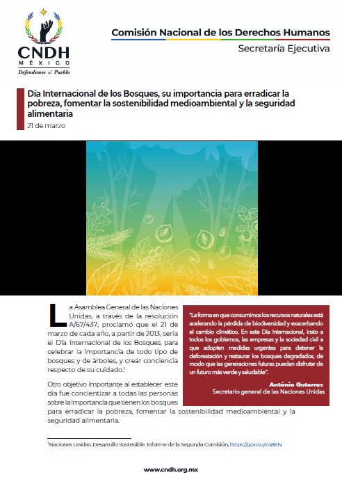 Día Internacional de los Bosques, su importancia para erradicar la pobreza, fomentar la sostenibilidad medioambiental y la seguridad alimentaria