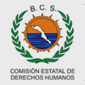 Comisión estatal de
