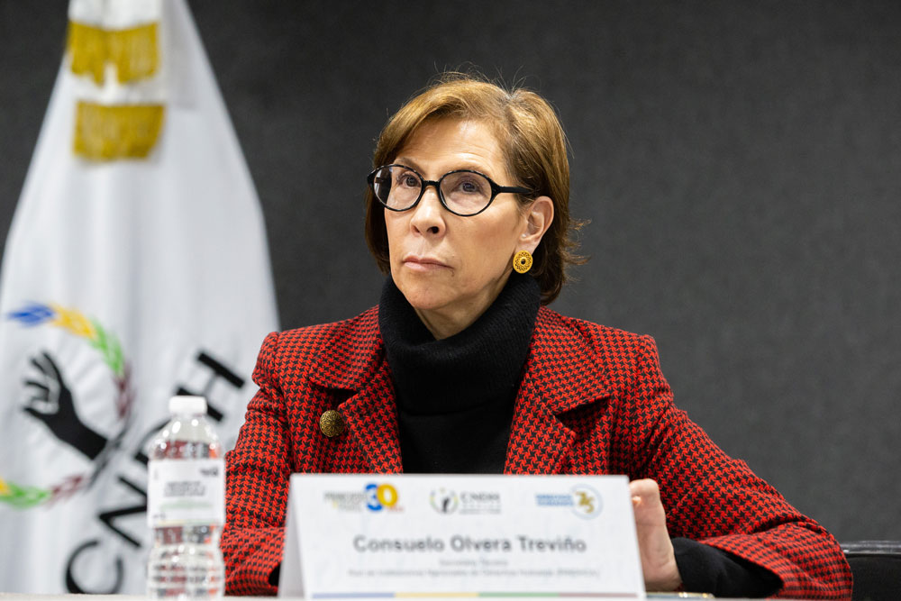 Conversatorio – Desafíos y buenas prácticas en el marco del 30 aniversario de los Principios de París.