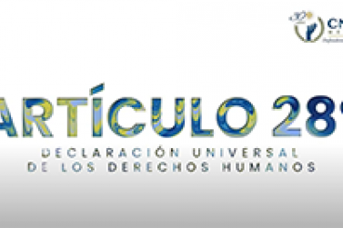 Artículo 28. Declaración Universal de los Derechos Humanos