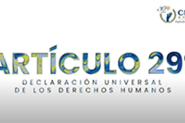 Artículo 29. Declaración Universal de los Derechos Humanos