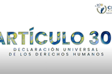 Artículo 30. Declaración Universal de los Derechos Humanos 