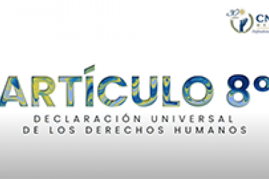 Artículo 8. Declaración Universal de los Derechos Humanos 