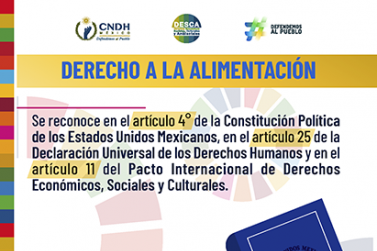 Derecho a la Alimentación