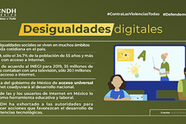 Desigualdades digitales