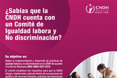 NMX Comité Igualdad