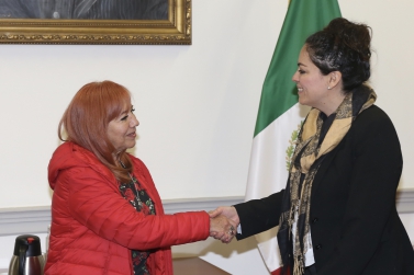 Reunión. CNDH - Artículo 19