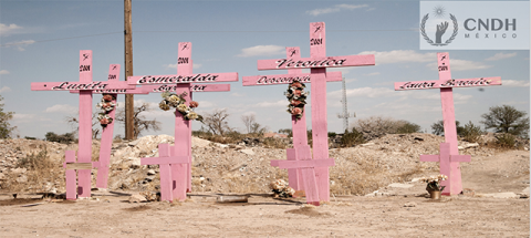 La Corte Interamericana de Derechos Humanos sentencia en el “Caso González y otras (“Campo Algodonero”) vs. México