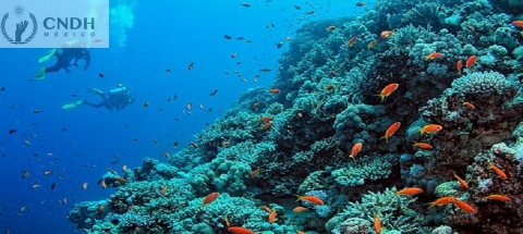 Decenio Internacional de las Ciencias Oceánicas para el Desarrollo Sostenible 