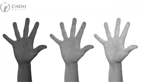 Día Internacional de la Eliminación de la Discriminación Racial