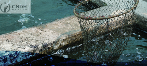 Año Internacional de la Pesca y la Acuicultura Artesanales  