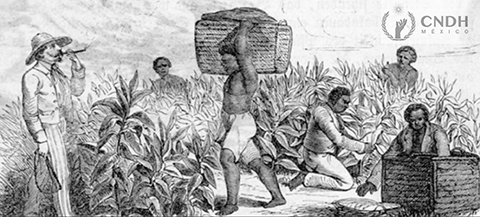 Benito Juárez prohíbe la deportación de indígenas mayas a Cuba como esclavos. Guerra de Castas