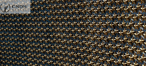 Jornadas de Recuerdo y Reconciliación en Honor de Quienes Perdieron la Vida en la Segunda Guerra Mundial