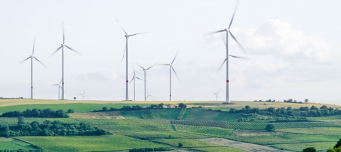 Día Mundial de Información sobre el Desarrollo