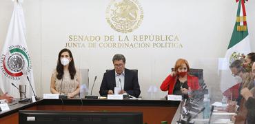 Comparecencia de la Presidenta de la CNDH, Rosario Piedra Ibarra ante Senadores