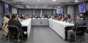 Presentación - Recomendación 39 del Comité CEDAW
