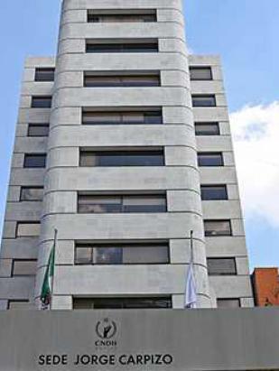 La CNDH y la ONU-DH condenan las agresiones contra manifestación pacífica en Guanajuato