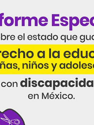 Informe Especial sobre el estado que guarda el derecho a la educación de niñas, niños y adolescentes con discapacidad en México.
