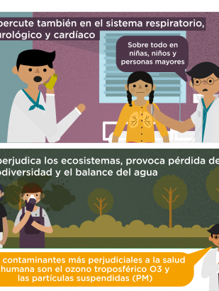 Contaminación Atmosférica