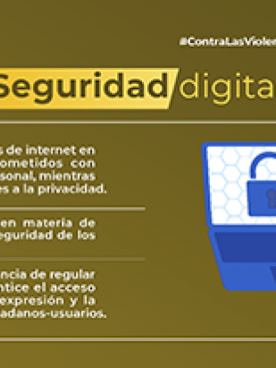 ¿Seguridad digital?