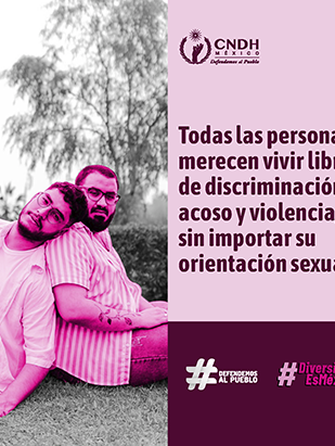 LGBTQ+ Igualdad y Diversidad