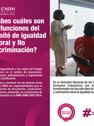 NMX Comité Igualdad Funciones 