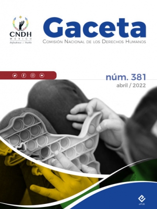 Gaceta 381