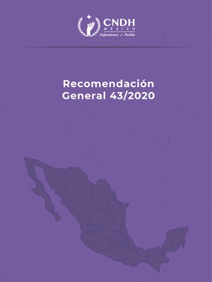 Recomendación General 43/2020