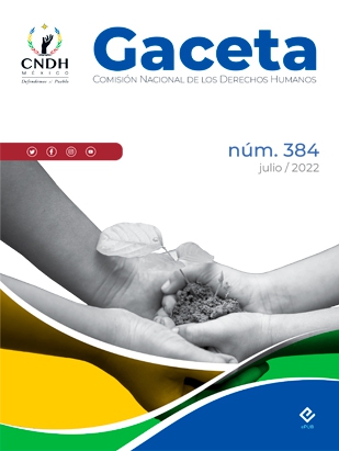 Gaceta, número 384
