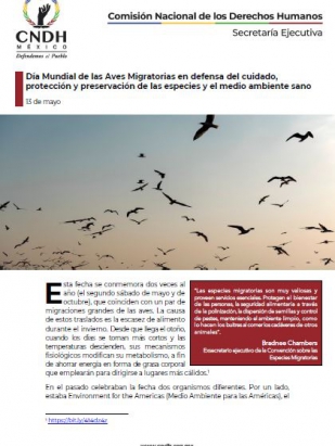 Día Mundial de las Aves Migratorias en defensa del cuidado, protección y preservación de las especies y el medio ambiente sano