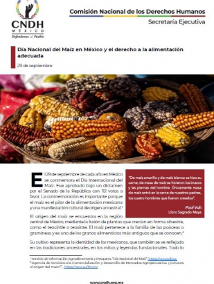 Día Nacional del Maíz en México y el derecho a la alimentación adecuada
