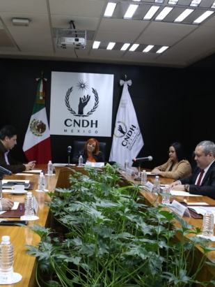 CNDH y Secretaría de Bienestar Social de Tamaulipas pondrán en marcha actividades educativas y de capacitación en DDHH