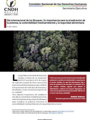 Día Internacional de los Bosques. Su importancia para la erradicación de la pobreza, la sostenibilidad medioambiental y la seguridad alimentaria