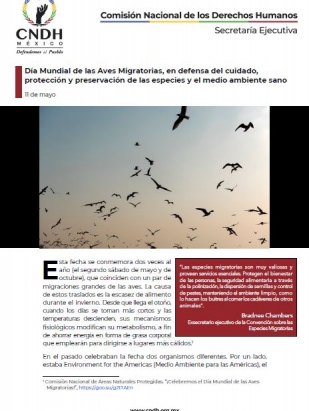 Día Mundial de las Aves Migratorias, en defensa del cuidado, protección y preservación de las especies y el medio ambiente sano
