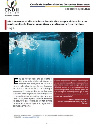 Día Internacional Libre de las Bolsas de Plástico, por el derecho a un medio ambiente limpio, sano, digno y ecológicamente armonioso