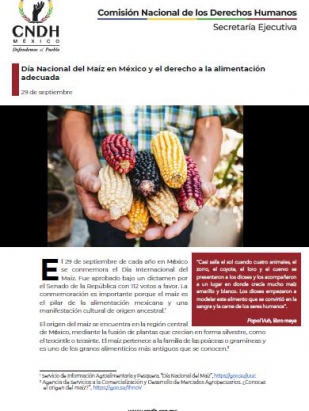 Día Nacional del Maíz en México y el derecho a la alimentación adecuada