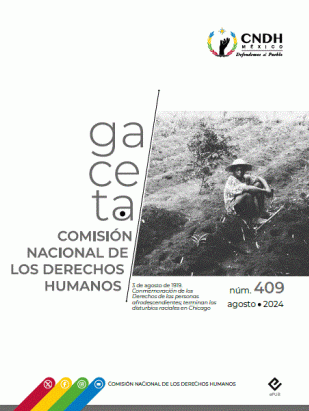 Gaceta número 409 (correspondiente al mes de agosto de 2024)