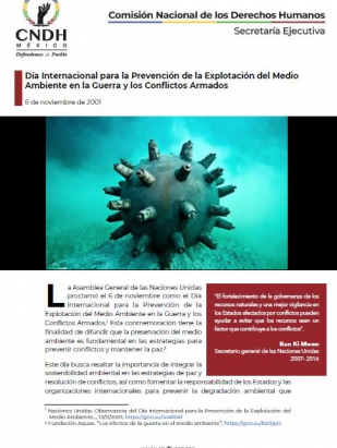 Día Internacional para la Prevención de la Explotación del Medio Ambiente en la Guerra y los Conflictos Armados