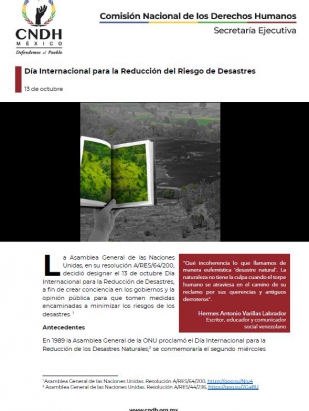 Día Internacional para la Reducción del Riesgo de Desastres