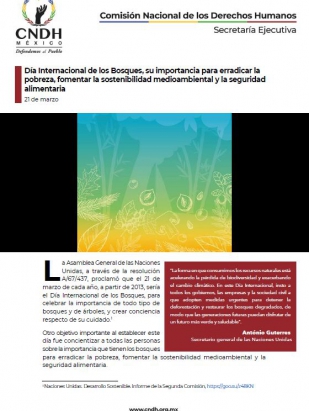 Día Internacional de los Bosques, su importancia para erradicar la pobreza, fomentar la sostenibilidad medioambiental y la seguridad alimentaria
