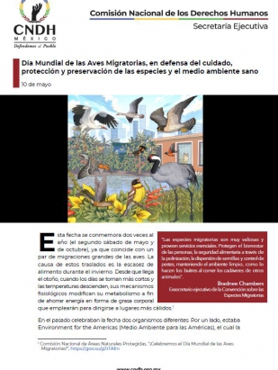 Día Mundial de las Aves Migratorias, en defensa del cuidado, protección y preservación de las especies y el medio ambiente sano