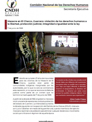 Masacre en El Charco, Guerrero: violación de los derechos humanos a la libertad, protección judicial, integridad e igualdad ante la ley