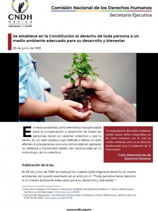 Se establece en la Constitución el derecho de toda persona a un medio ambiente adecuado para su desarrollo y bienestar